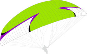 Orchid