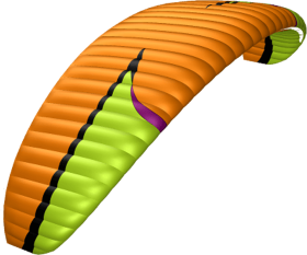 Citrus